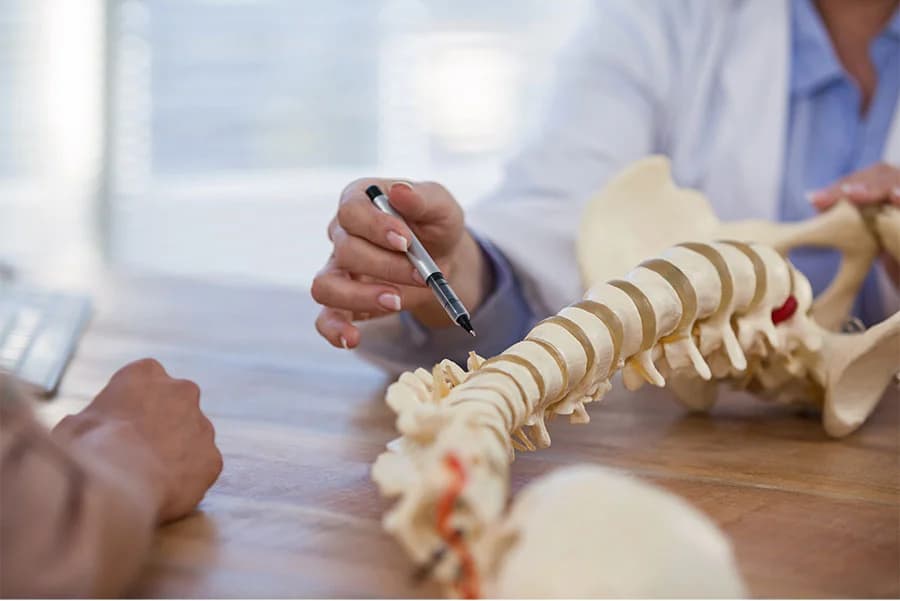 Bone and joint health support